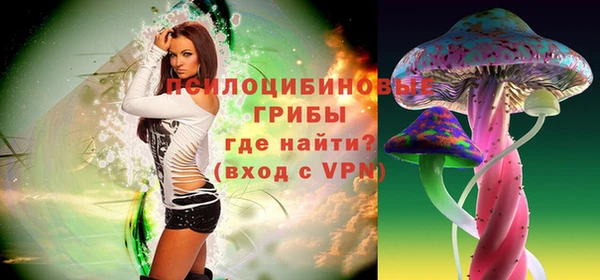 мет Каменск-Шахтинский