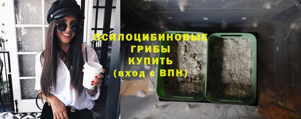 мет Каменск-Шахтинский