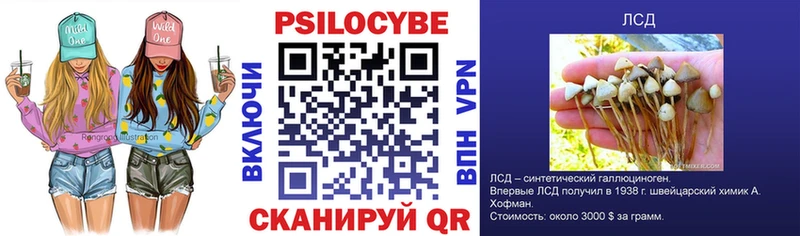 Галлюциногенные грибы мицелий Купить закладки Шадринск